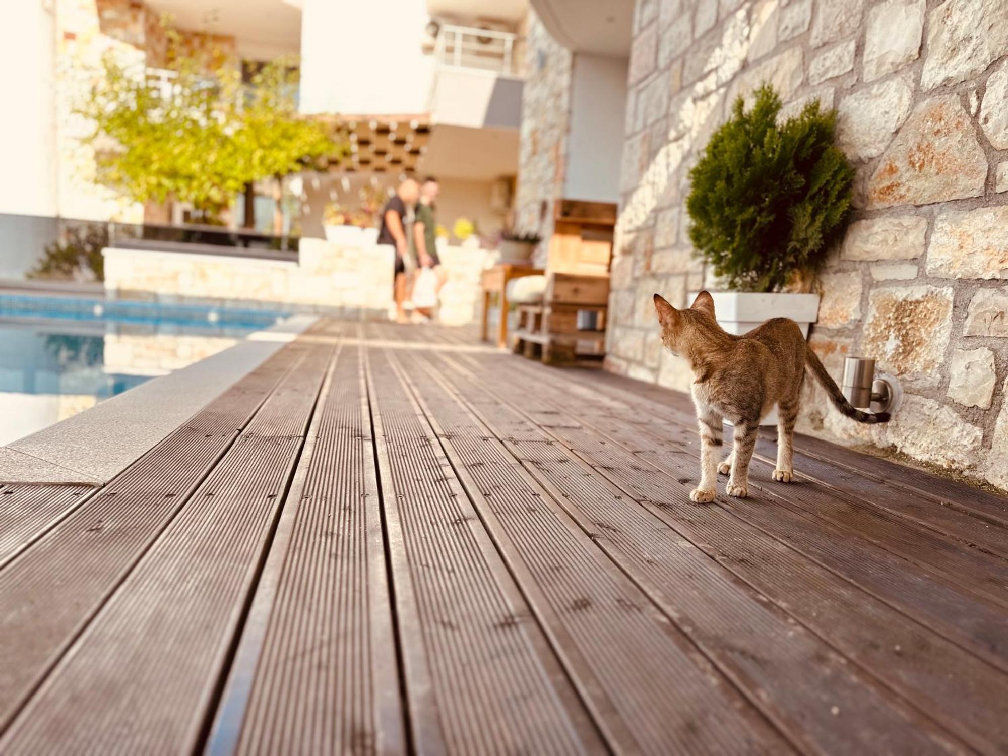 Villa Merkuri Χειμάρρα Εξωτερικό φωτογραφία
